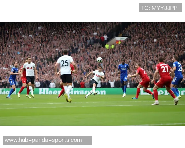 足球的魅力与激情探讨：从历史到未来的全景分析与个人见解